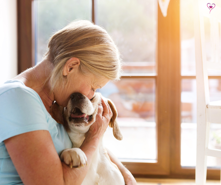 Are you considering getting a pet for senior citizens in your life?